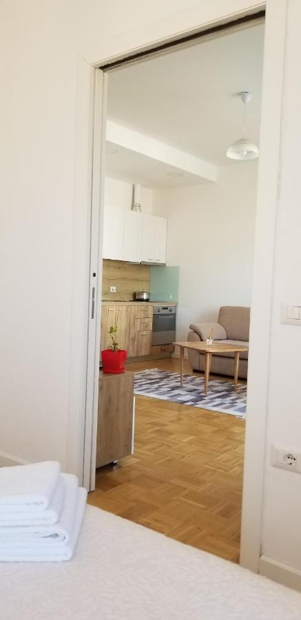 City Center Cute And Comfy Apartment - Ajia Apartments Tirana Zewnętrze zdjęcie